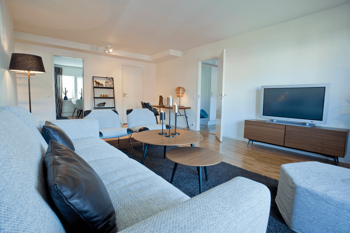 Living room with grey couch